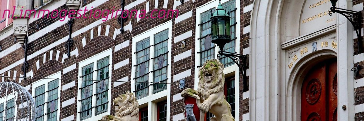 nl.immogestiogirona.com